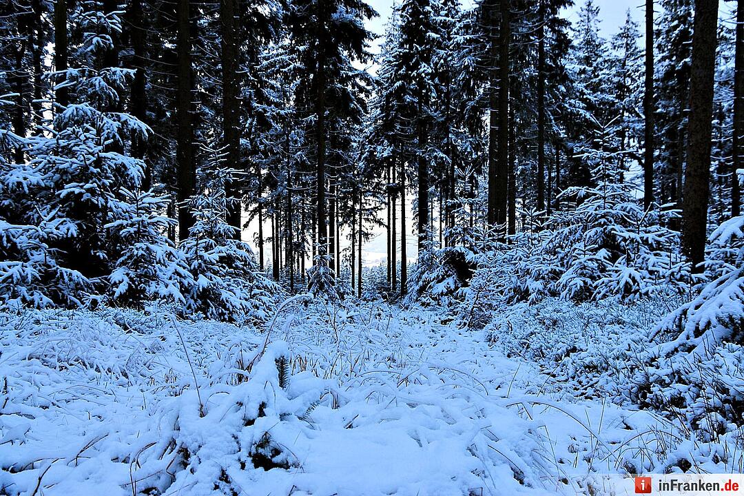 Schnee im Fichtelgebirge