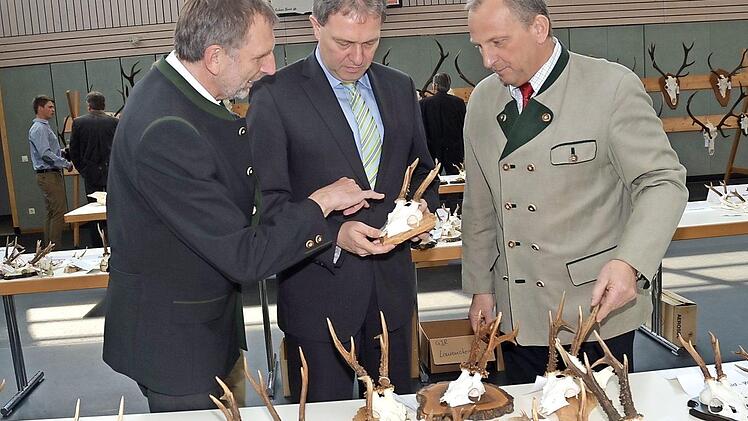 Landrat Klaus Löffler informierte sich intensiv über Geweihe und Gehörne bei der Hegeschau in der Leßbachtalhalle und ließ Details von den beiden Kreisvorsitzenden, Eckhard Schneider (l.) und Bernhard Schmitt (r. erklären. Foto: K.- H. Hofmann