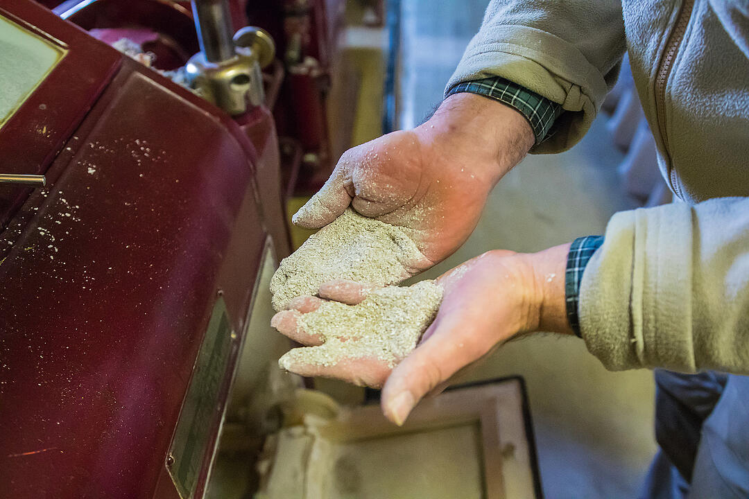 Besuch in der Schaubm&uuml;hle