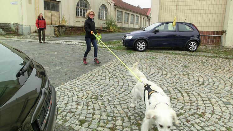 Renate Friedrich aus Mainleus geht mit dem Golden Retriever "Chaplin" auf Spurensuche. Foto: privat