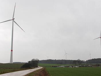 Die fünf Anlagen des Lonnerstadter Windparks stehen. Drei liefern bereits Strom. Foto: Andreas Dorsch