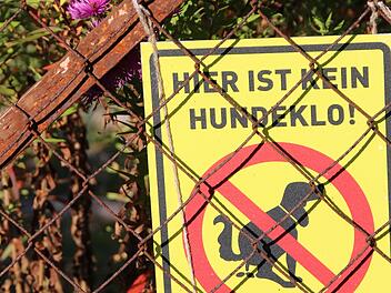 Immer wieder wird der Markt auf Verunreinigungen durch Hundekot hingewiesen.