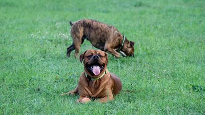 Foto: Hersh Le Roy
