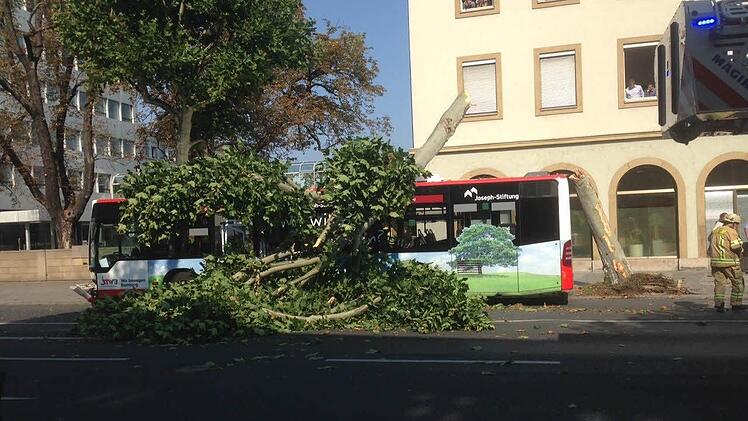 Foto: Gerold Braunreuther