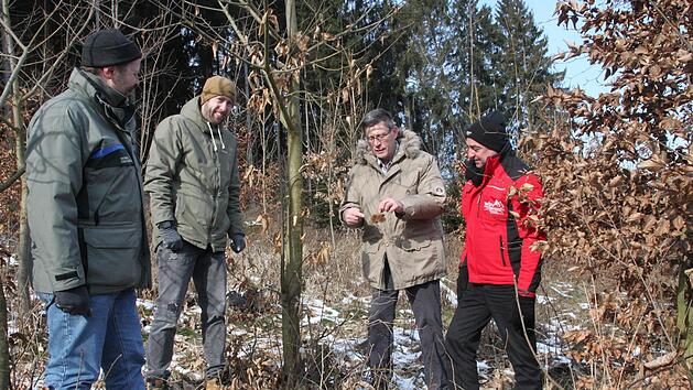 Mit klimatoleranten Baumarten wie der Edelkastanie leisten Erhard Funk (gro&szlig;es Bild, Zweiter von rechts) und sein Sohn Benedikt (links daneben) aus Wolfsdorf einen Beitrag zum Waldumbau.  Vorsitzender Robert H&uuml;mmer von der WBV (rechts) und Forstdirektor Oliver Kr&ouml;ner lassen sich die pelzige Frucht des Baumes zeigen. Foto: Stephan St&ouml;ckel