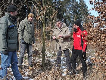 Mit klimatoleranten Baumarten wie der Edelkastanie leisten Erhard Funk (großes Bild, Zweiter von rechts) und sein Sohn Benedikt (links daneben) aus Wolfsdorf einen Beitrag zum Waldumbau.  Vorsitzender Robert Hümmer von der WBV (rechts) und Forstdirektor Oliver Kröner lassen sich die pelzige Frucht des Baumes zeigen. Foto: Stephan Stöckel