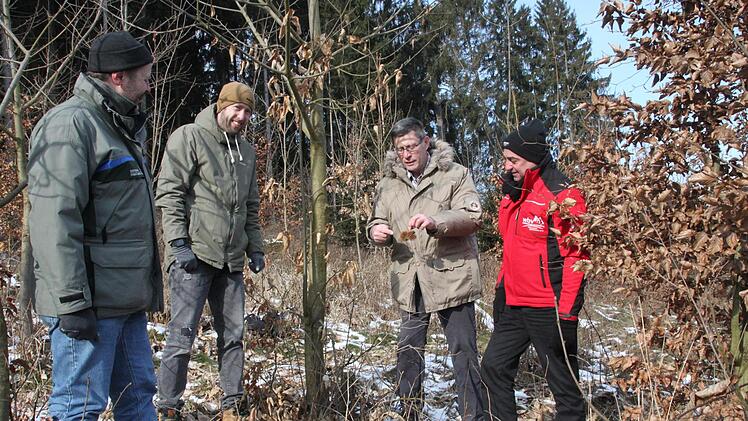Mit klimatoleranten Baumarten wie der Edelkastanie leisten Erhard Funk (großes Bild, Zweiter von rechts) und sein Sohn Benedikt (links daneben) aus Wolfsdorf einen Beitrag zum Waldumbau.  Vorsitzender Robert Hümmer von der WBV (rechts) und Forstdirektor Oliver Kröner lassen sich die pelzige Frucht des Baumes zeigen. Foto: Stephan Stöckel