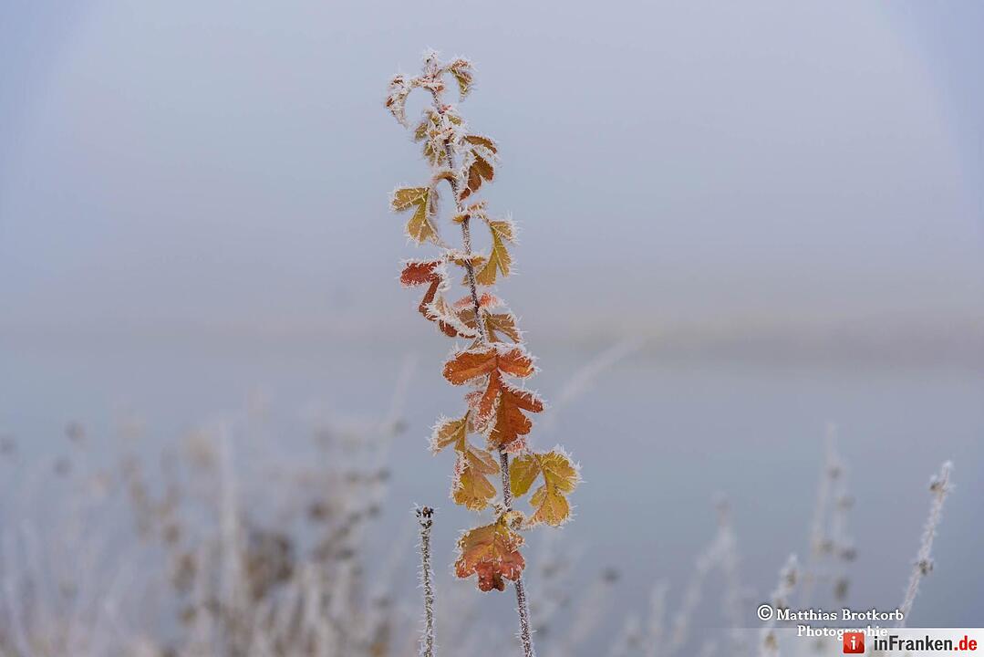 Dreikönigswochenende bei eisigen Temperaturen in Franken 2017
