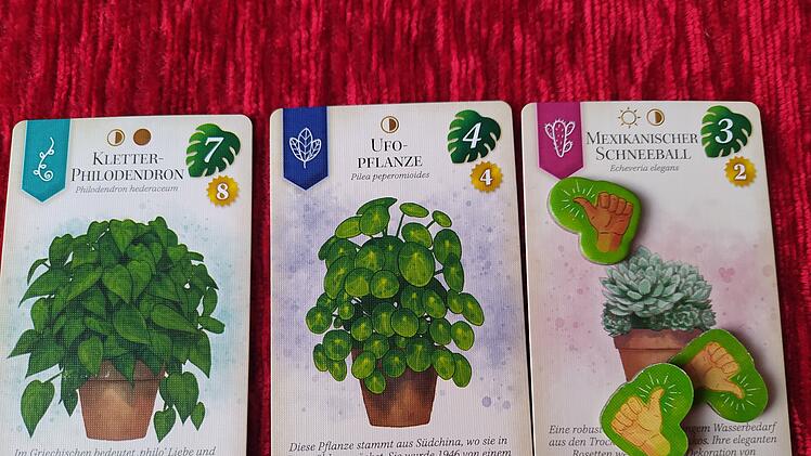 Sattgrün im Test - Familien-Legespiel zum Thema Zimmerpflanzen