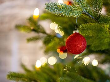 Würzburg: Gartenamt startet mit Aufstellung der Weihnachtsbäume