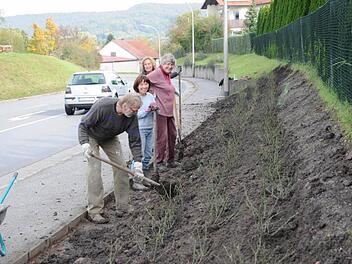 Am Ortseingang in Königsberg, von Haßfurt kommend, legte der Obst- und Gartenbauverein mit Konrad Engelmann, der Vorsitzenden Simone Engelmann, Barbara May und Gabriele Rambacher (von links) ein großes Rosenbeet an.  Foto: Gerold Snater