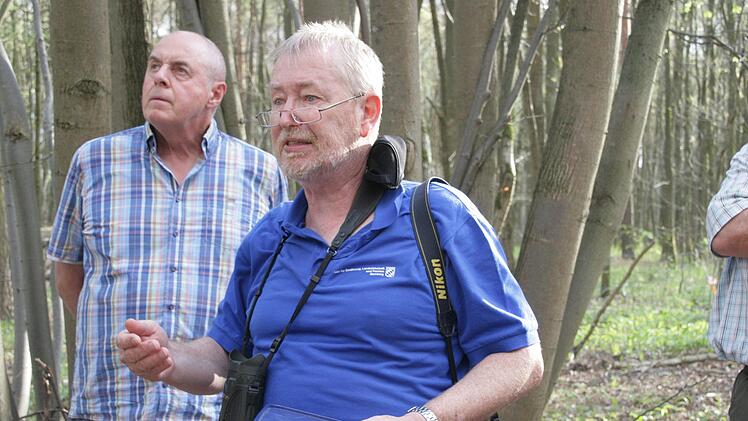 Im Wald bei Trailsdorf Foto: Sylvia Hubele