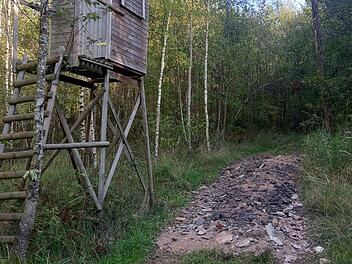 Im Wald-Wiesen-Gebiet zwischen Dreistelzberg und Staatsbad Brückenau haben Unbekannte direkt neben einem Bachlauf Bauschutt ausgebracht. Dieser enthält möglicherweise ölbelastete Bestandteile. Die Polizei ermittelt. Foto: Steffen Standke