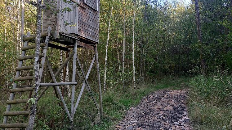 Im Wald-Wiesen-Gebiet zwischen Dreistelzberg und Staatsbad Brückenau haben Unbekannte direkt neben einem Bachlauf Bauschutt ausgebracht. Dieser enthält möglicherweise ölbelastete Bestandteile. Die Polizei ermittelt. Foto: Steffen Standke