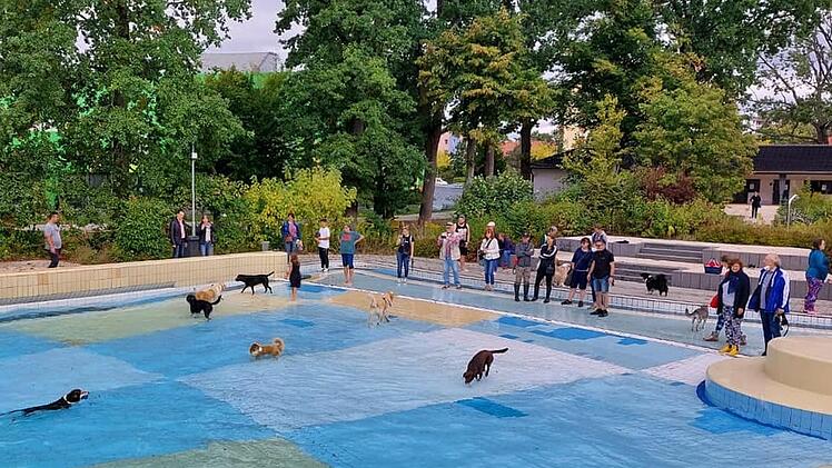 Bamberg: 10. Hundebadetag Bambados