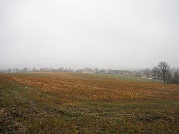 Auf einer Fläche von rund 7,3 Hektar könnte hier, auf einem Acker von Ralf Trukenbrod, ein Solarpark entstehen