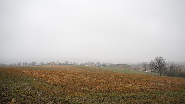 Auf einer Fläche von rund 7,3 Hektar könnte hier, auf einem Acker von Ralf Trukenbrod, ein Solarpark entstehen