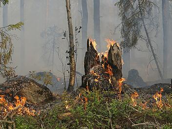 Hohe Waldbrandgefahr wegen Trockenheit: Landratsamt Kronach warnt