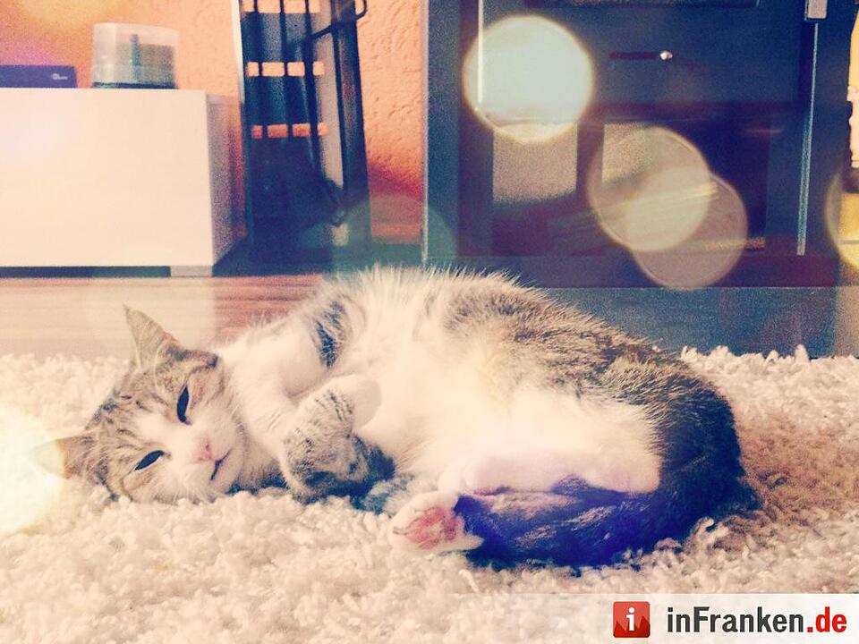 Foto: Nadine Wachter