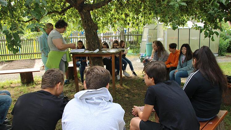 Sojabohnenexperiment der Mainleuser Schüler Foto: Dagmar Besand