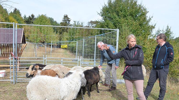 Tanja Jung erklärt Frank Reißenweber und Hubert Kluger ihre Arbeit mit den Schafen.