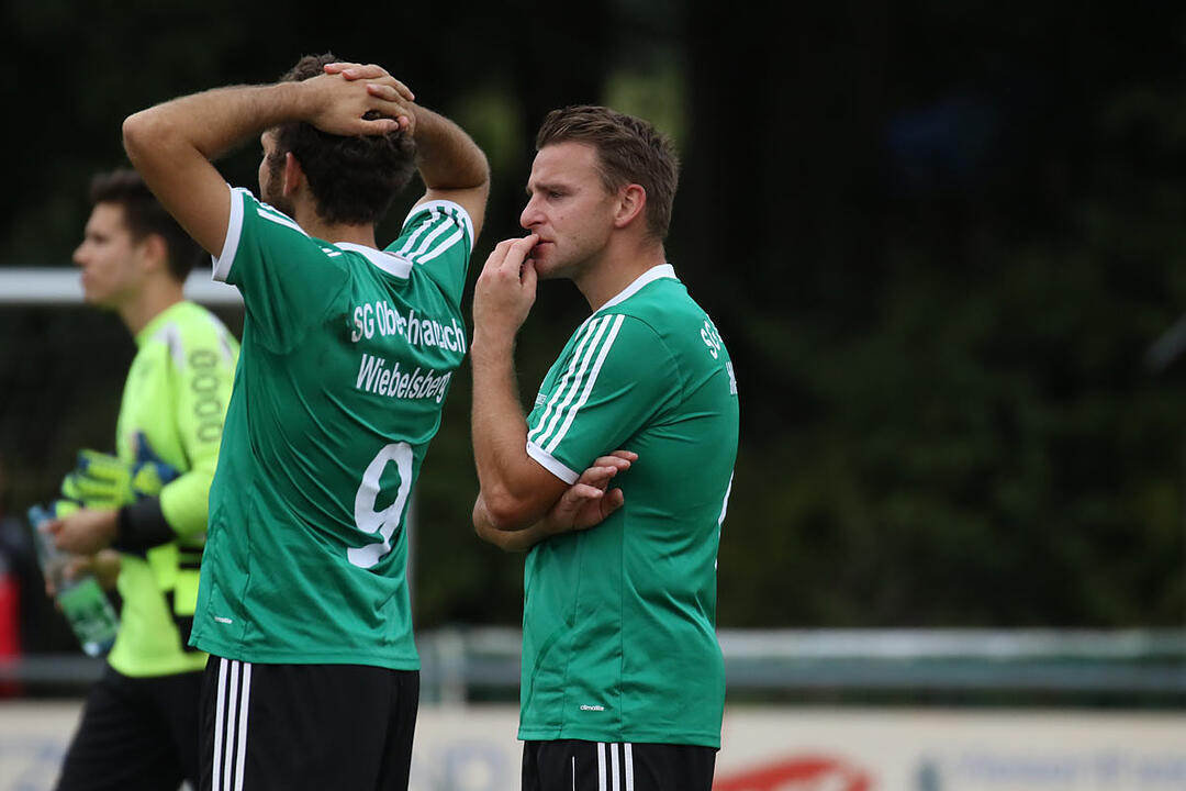 TSV/DJK Wiesentheid - SV-DJKberschwarzach