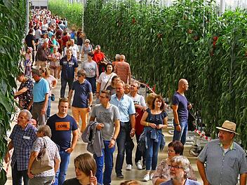 Besuchermassen in Feulersdorf: Der Tag der offenen Tür in der Gemüsefarm lockte Tausende.  Foto: Monika Limmer