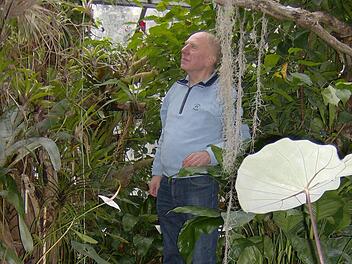 Alfons Trautner in seinem 60 Quadratmeter großen Tropenhaus, wo sich zwischen exotischer Vegetation seltene Vogelarten wie Brillen- und Türkisnaschvögel tummeln. Foto: Petra Malbrich