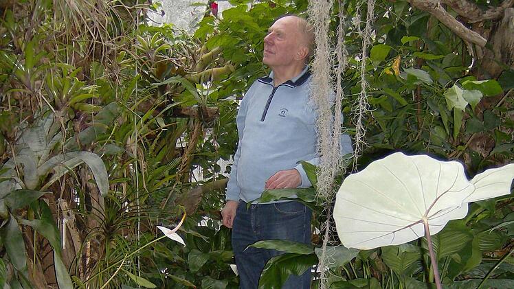 Alfons Trautner in seinem 60 Quadratmeter großen Tropenhaus, wo sich zwischen exotischer Vegetation seltene Vogelarten wie Brillen- und Türkisnaschvögel tummeln. Foto: Petra Malbrich