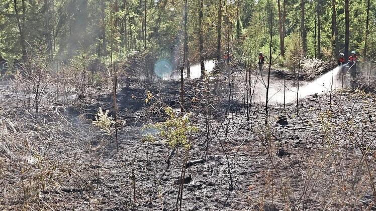 Die Feuerwehren bekamen den Brand relativ schnell unter Kontrolle. Aber immer wieder flammten Feuer auf.