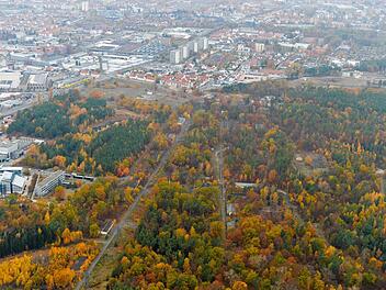 Im ehemaligen Militärgelände Muna soll ein 46 Hektar großer Gewerbepark entstehen. Doch eine Bürgerinitiative läuft gegen die Rodung Sturm.  Ronald Rinklef