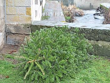 Alte Christbäume einfach - wie hier auf unserem Archivbild - hinter eine Mauer zu werfen, ist nicht Sinn der Sache. Symbolfoto: Sandra Hackenberg