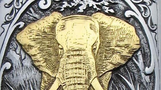 Großwild ist ein beliebtes Motiv.