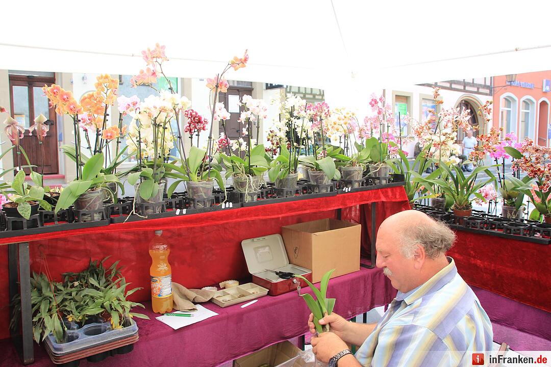 Stadtfest Münnerstadt