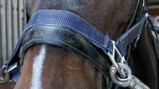 Jonathan ist schon bereit.