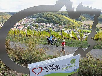 Die sch&ouml;nsten Bilder vom Weinberglauf in Ramsthal