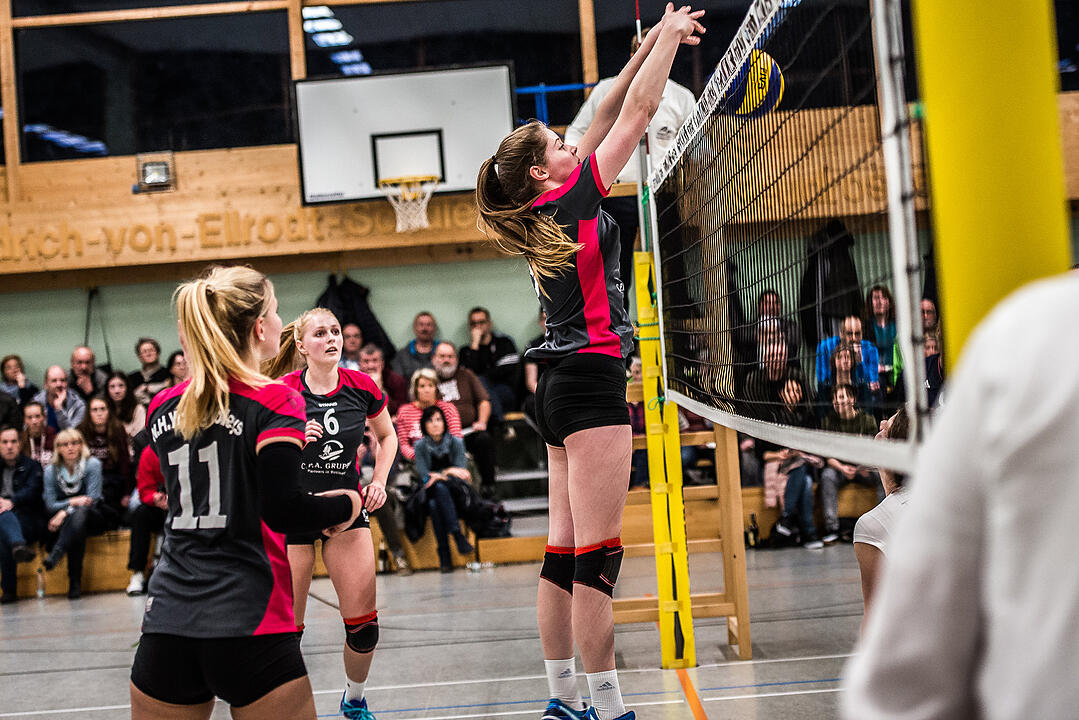 N.H. Young Volleys - TV Erlangen (3:2)