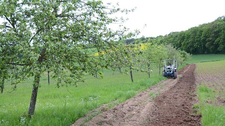 Auch zwischen konventionellem Acker und Streuobstwiese sorgt die Einsaat von Blühpflanzen für Biodiversität. Elisabeth Assmann
