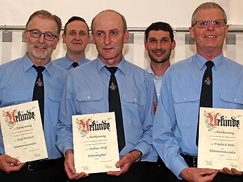 Friedrich Pröls (rechts) wurde zum Ehrenvorsitzenden ernannt. Ehrenmitglieder wurden Josef Hertrich und Andreas Weiß (von links). Hintere Reihe: Kommandant Christian Dauer und Vorsitzender Thomas Bier (von links) Foto: Evi Seeger