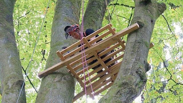 Foto: Hans-Peter Schönecker