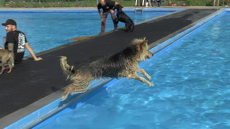 Mit einem gro&szlig;en Sprung ging es ins k&uuml;hle Nass.Christian Licha