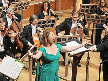 Schöne Stimme, große Komödiantin: Dagmar Schellenberger beim Neujahrskonzert