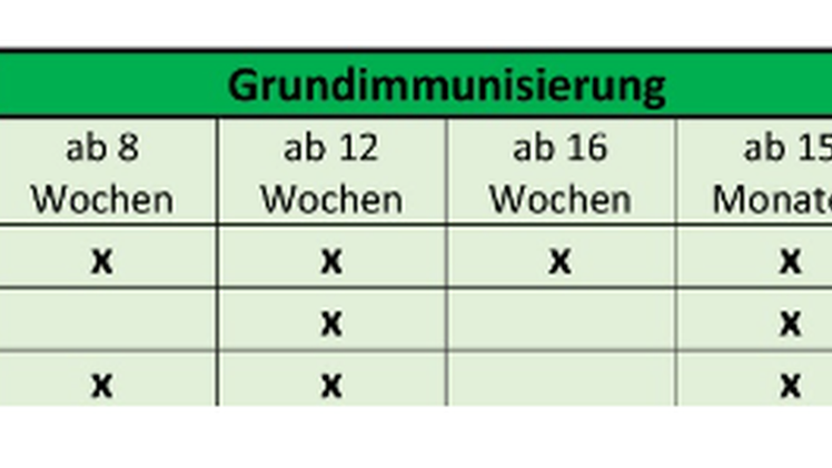 Bad Kissingen: Terrassenschwimmbad l&auml;dt zu erstem Hunde-Badetag - was beachtet werden muss