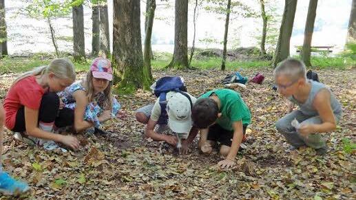 In Handthal gingen die Oberauracher Ferienkinder dem Waldboden richtig auf den Grund. Sie fingen einige Tierchen, schauten sie sich genauer an und entließen sie nach der Prozedur wieder in die Natur.