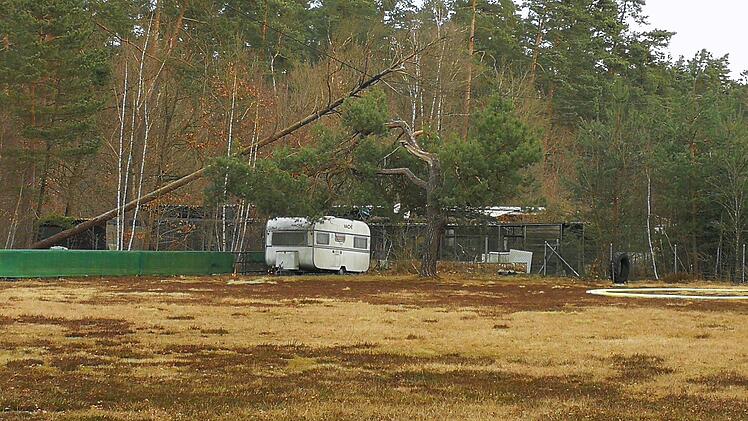 Schwarzenbruck: Feuerwehreinsatz an Hundeschule - Bäume fangen Feuer