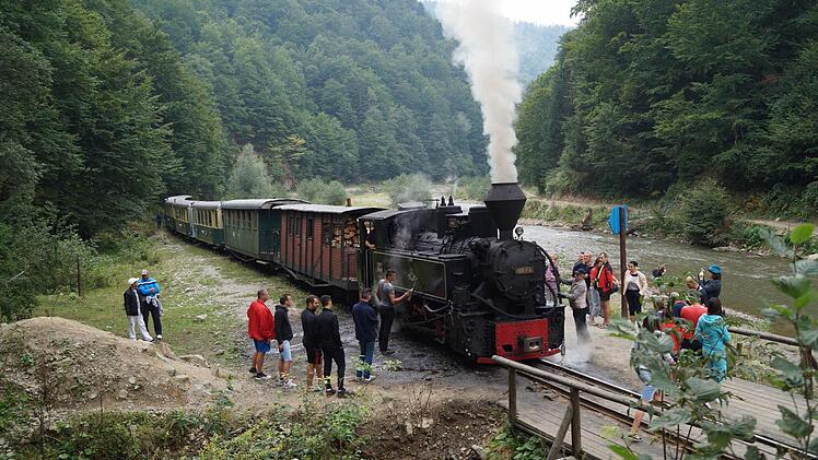 Mit der Dampflokomotive "Ioana" geht es auf Schmalspurgleisen durch den Wald.