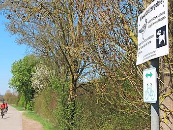 Solange Freizeitsportler und Spaziergänger das Wegenetz nutzen, ist das für die Wiesenbrüter kein Problem. Gestört werden sie allerdings, wenn während der Brutzeit die Wiesen in der Unteren Au betreten werden. Foto: Heike Beudert