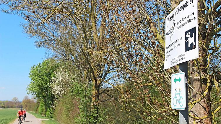 Solange Freizeitsportler und Spaziergänger das Wegenetz nutzen, ist das für die Wiesenbrüter kein Problem. Gestört werden sie allerdings, wenn während der Brutzeit die Wiesen in der Unteren Au betreten werden. Foto: Heike Beudert