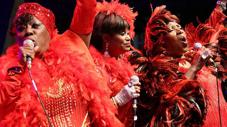 Alle Fotos: Matthias Hoch