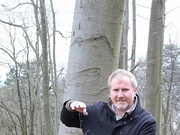 Grünflächenamtsleiter Bernhard Ledermann mit einer jungen Buche. Zunächst soll abgewartet werden, was von allein nachwächst.